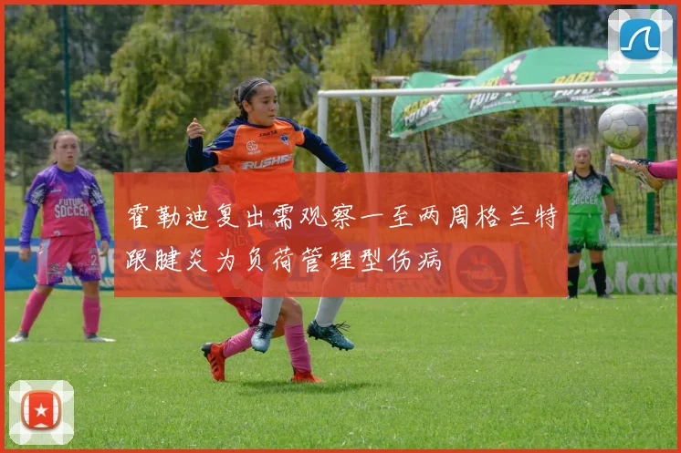 霍勒迪复出需观察一至两周格兰特跟腱炎为负荷管理型伤病