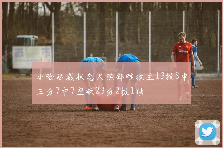 小哈达威状态火热却难救主13投8中三分7中7空砍23分2板1助