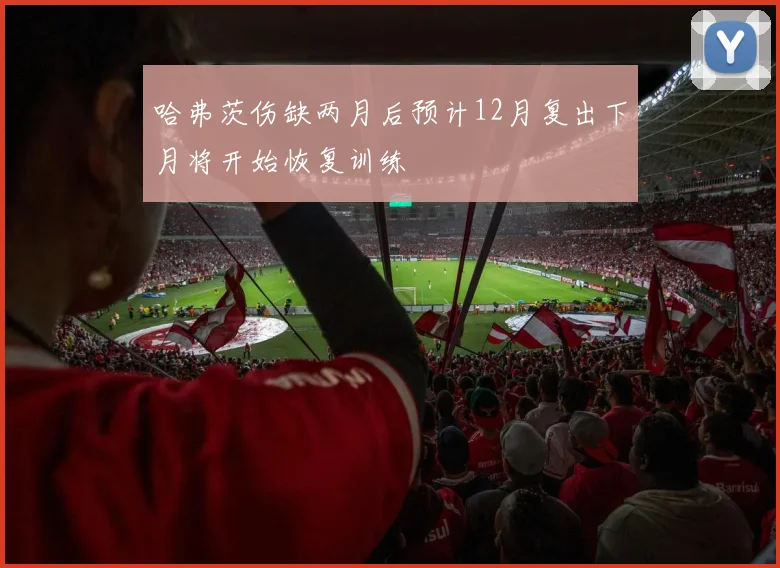 哈弗茨伤缺两月后预计12月复出下月将开始恢复训练
