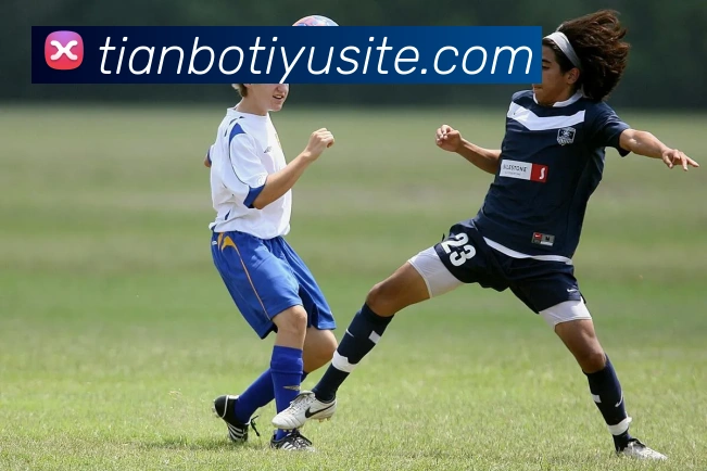 天博体育平台生态图