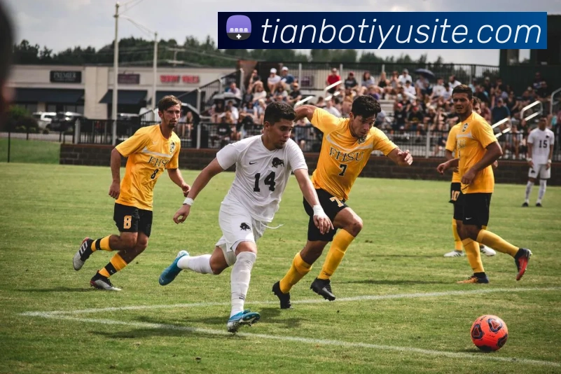 天博体育APP 封面图