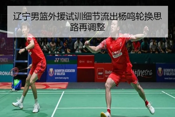辽宁男篮外援试训细节流出杨鸣轮换思路再调整